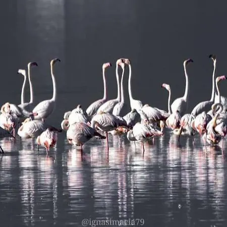 Delta Natura La Tancada * Amposta