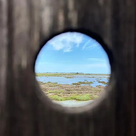 Delta Natura La Tancada * Amposta